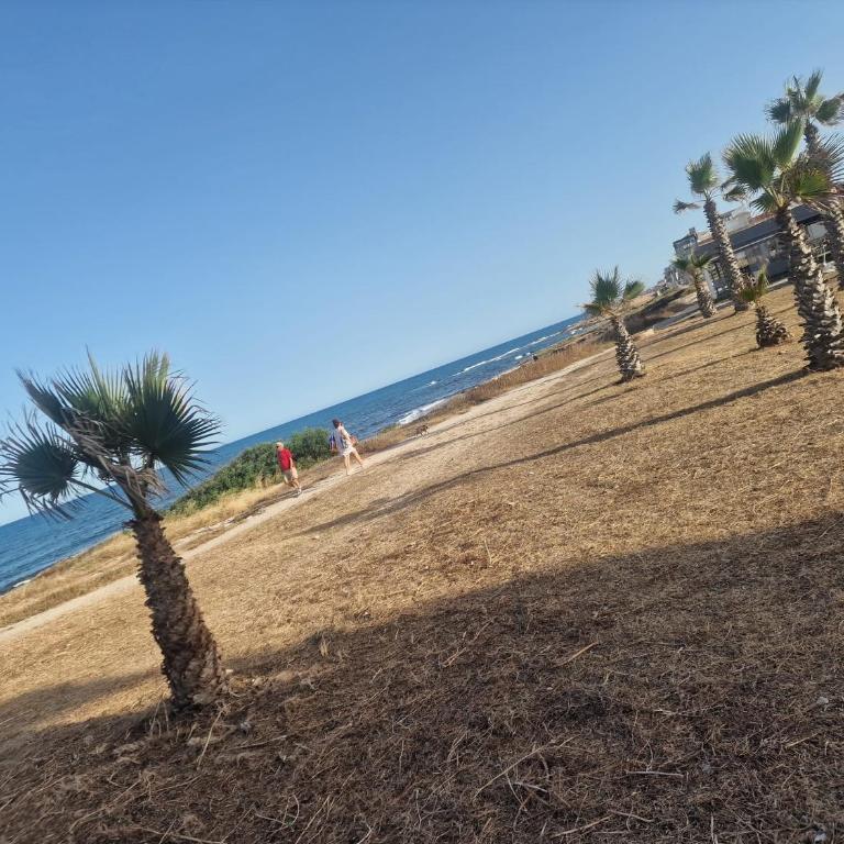 Apartament w Torrevieja, Mar Azul - Apartamento de 1 dormitorio - 11
