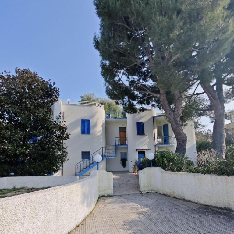 R 33 - Nuovo trilocale a due passi dalla spiaggia - Appartamento - 40