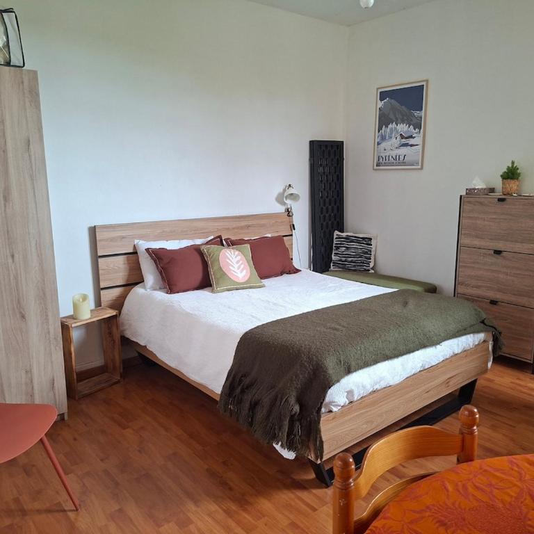 Appartement T2 cosy vue montagne, proches Adour, thermes à 5 min, centre ville 3 min, 1er étage - Apartment mit 1 Schlafzimmer - 25