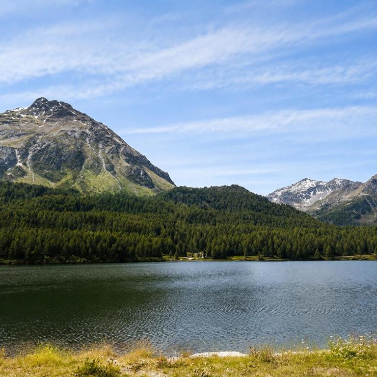 Bijou Alpina Maloja near St Moritz & Lake Sils - Apartment mit 1 Schlafzimmer - 33