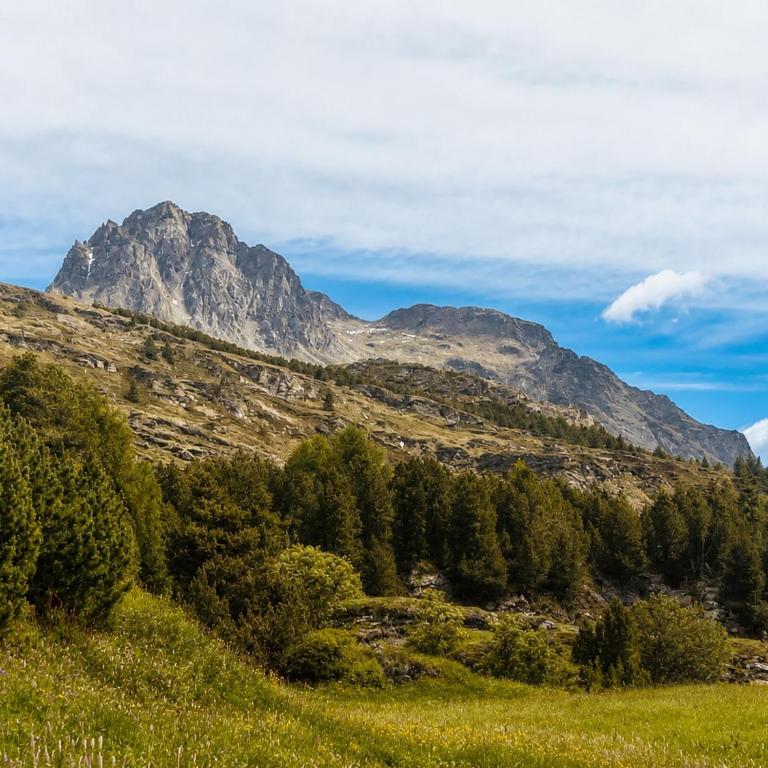 Bijou Alpina Maloja near St Moritz & Lake Sils - Apartment mit 1 Schlafzimmer - 32