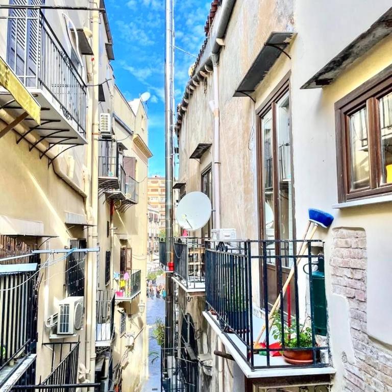 Cozy apartment in the heart of the city center - Casa - 14