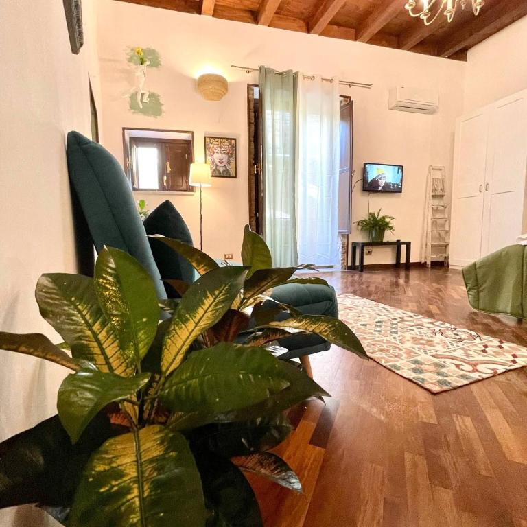 Cozy apartment in the heart of the city center - Casa - 39