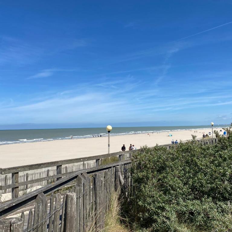 L'Altéia - L'appartement les pieds dans l'eau avec place de parking et accès direct plage - Apartment mit 1 Schlafzimmer - 5