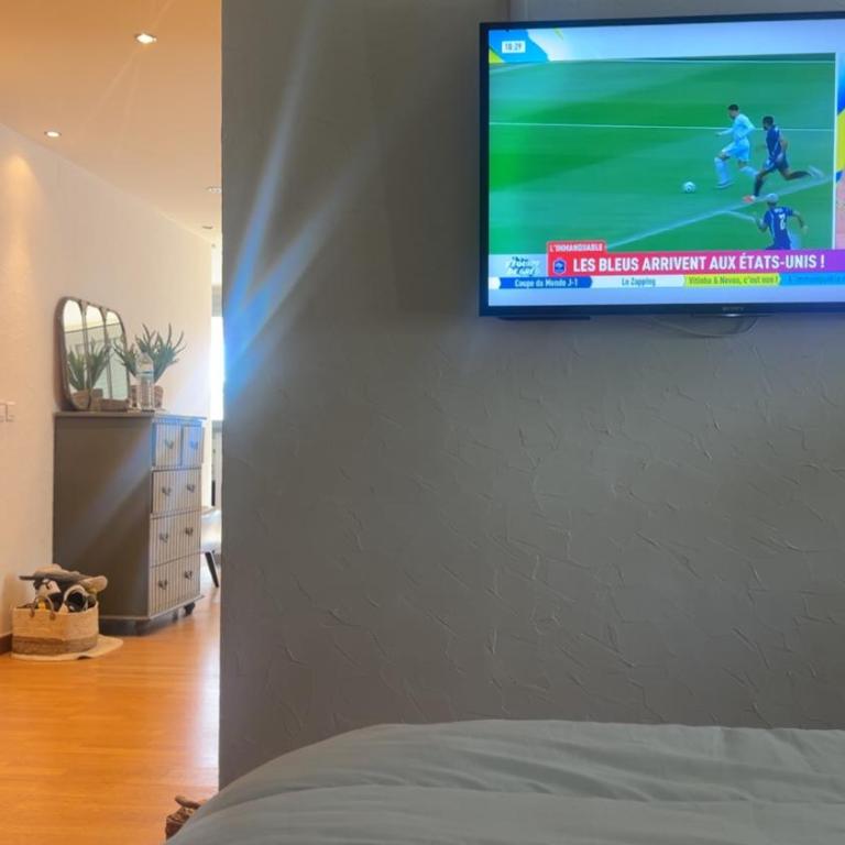 L'épi avec vue Mer -parking en sous sol - wifi - Plage à 50m - Appartamento con 2 Camere da Letto e Vista Mare - 19