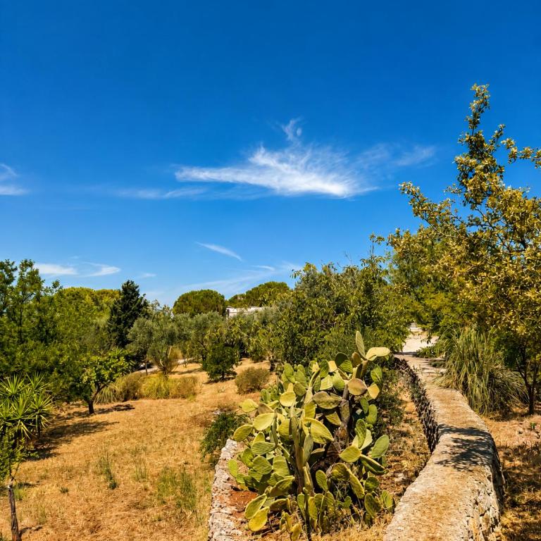 Tenuta Winston - Villa mit privatem Pool - 24