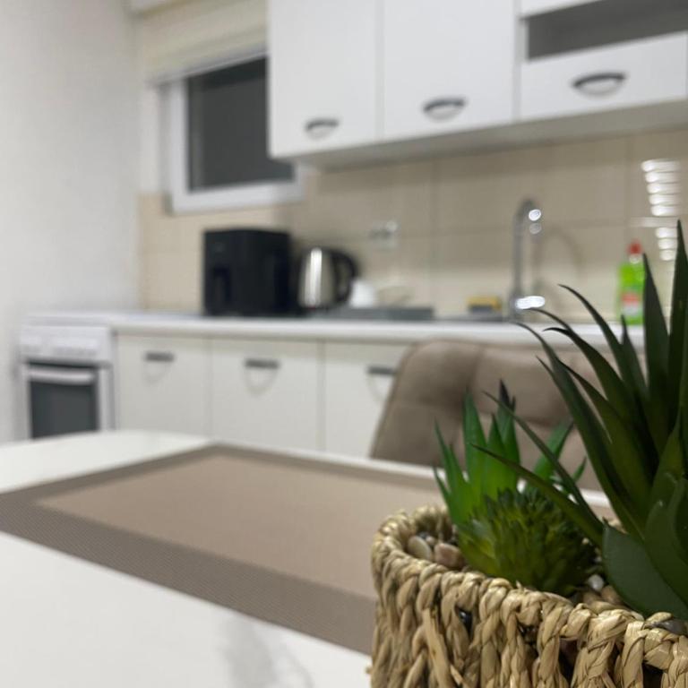Rena Comfort Apartment - One-Bedroom Apartment - 3