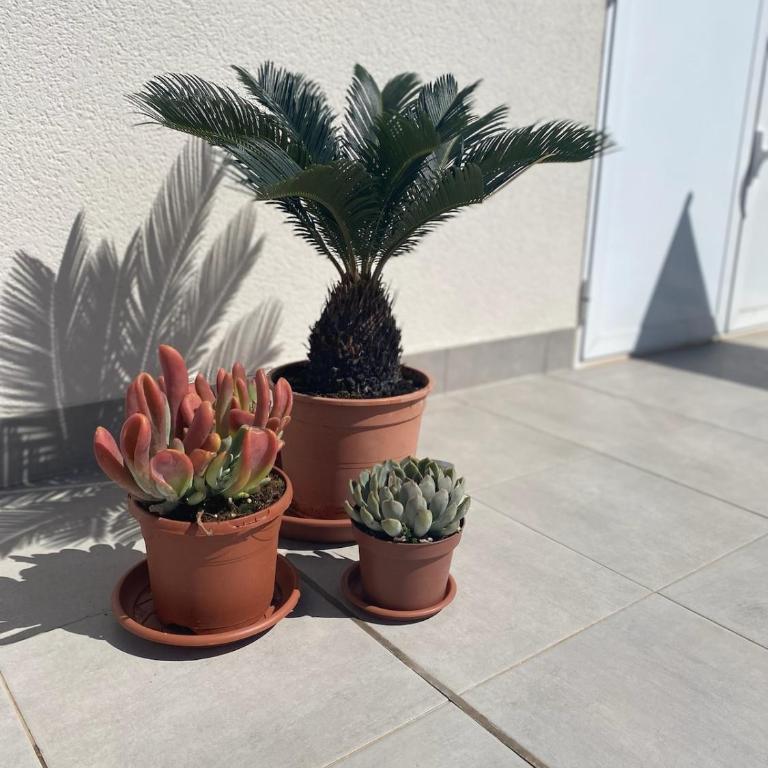 Casa NoCa - Vistabella Golf - Orihuela - Apartment mit 2 Schlafzimmern und Terrasse - 7