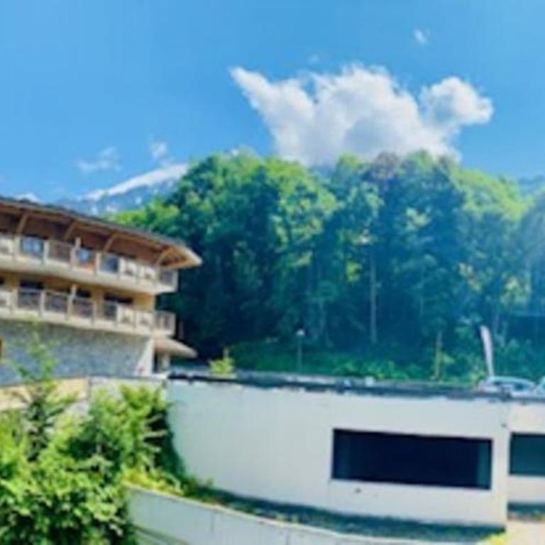 Balcon vue chaîne du Mont-Blanc parking - Appartement - 12