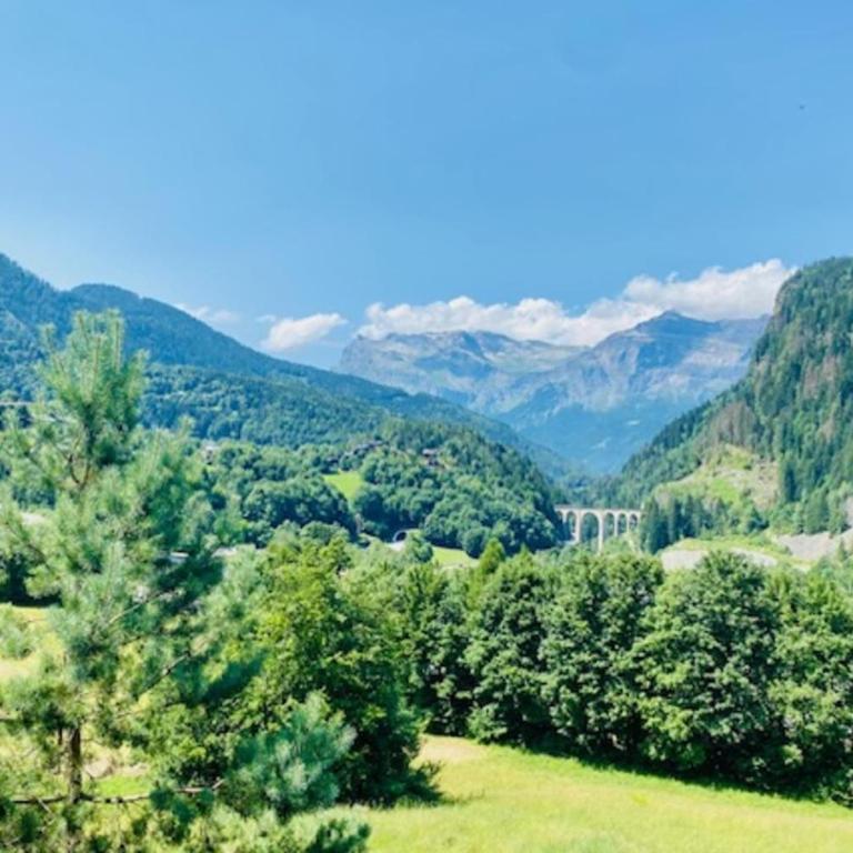 Balcon vue chaîne du Mont-Blanc parking - Appartement - 13