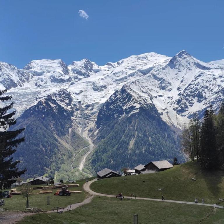 Balcon vue chaîne du Mont-Blanc parking - Appartement - 17