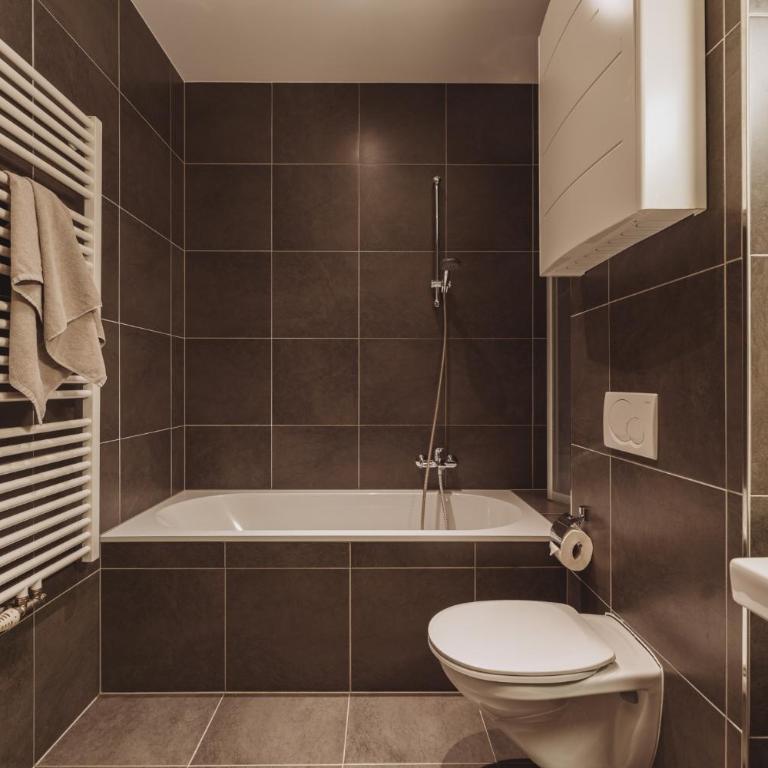 Apartments Obernosterer - One-Bedroom Apartment - 17