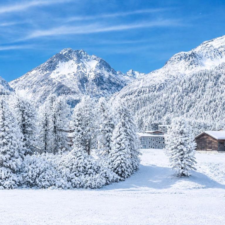 Bijou Alpina Maloja near St Moritz & Lake Sils - Apartment mit 1 Schlafzimmer - 13