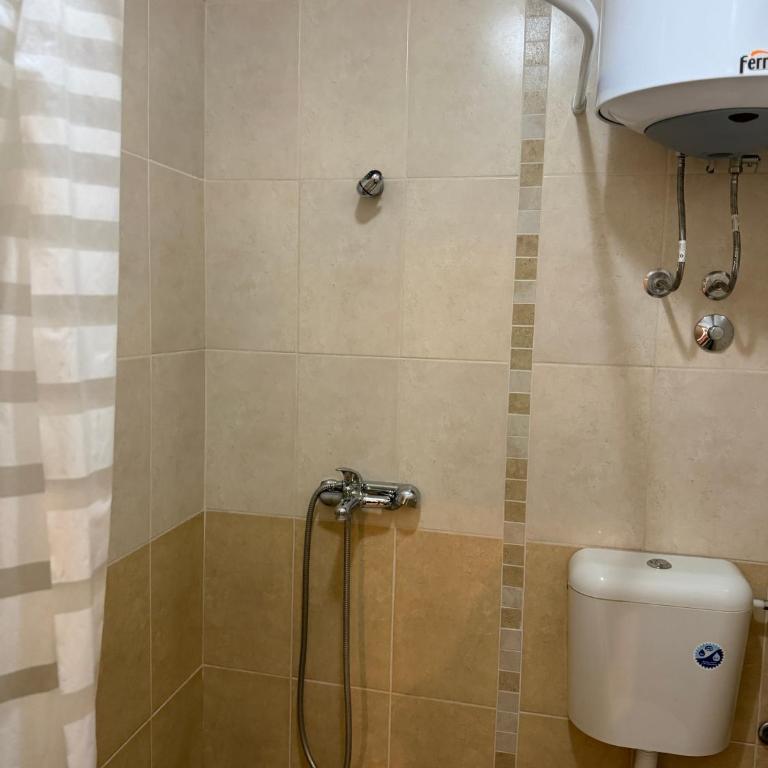 Jorgovan - Apartman sa 1 Spavaćom Sobom - 4