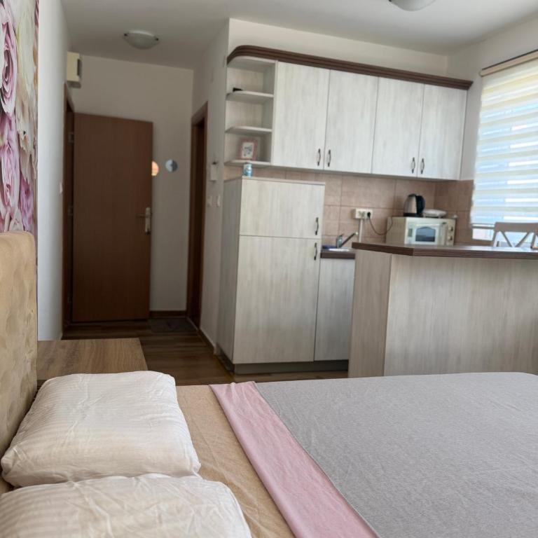 Jorgovan - Apartman sa 1 Spavaćom Sobom - 7