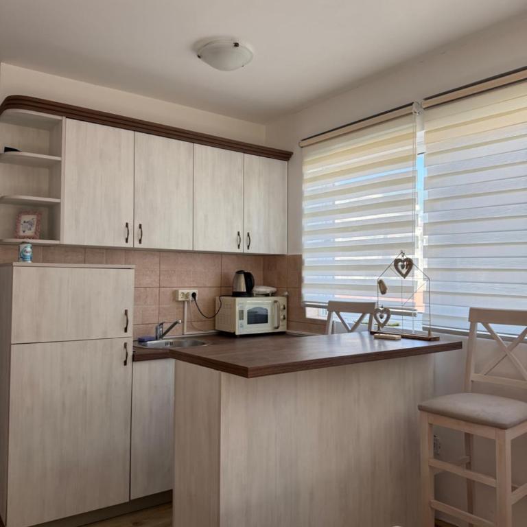 Jorgovan - Apartman sa 1 Spavaćom Sobom - 8