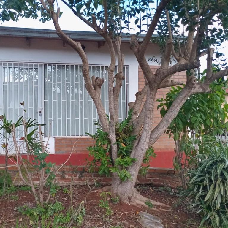 Hospedaje Nely - Apartamento de 1 dormitorio - 13