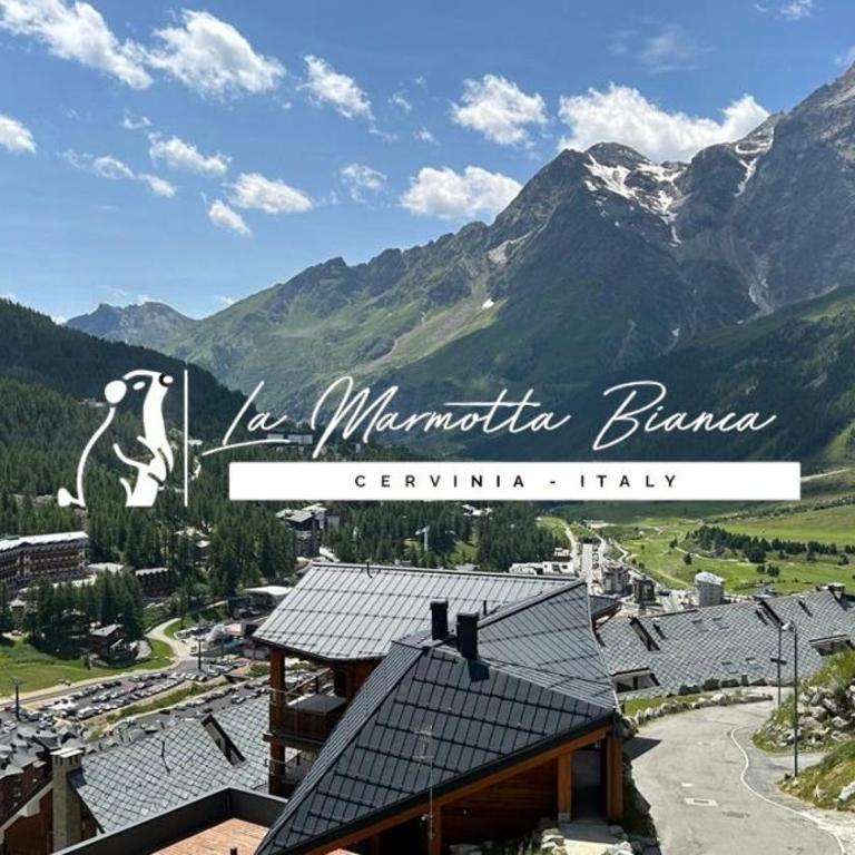 La marmotta bianca ski in out - Appartamento con 2 Camere da Letto - 1