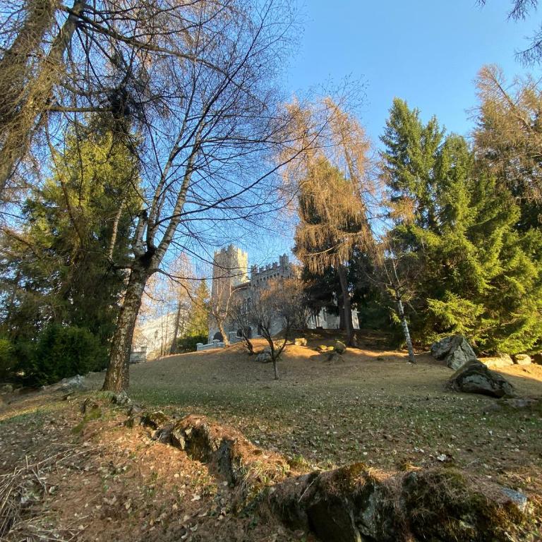 Castle Apartment in Ponte di Legno - Appartamento - 5