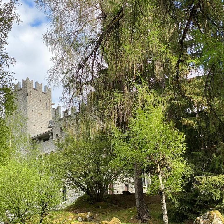 Castle Apartment in Ponte di Legno - Appartamento - 4