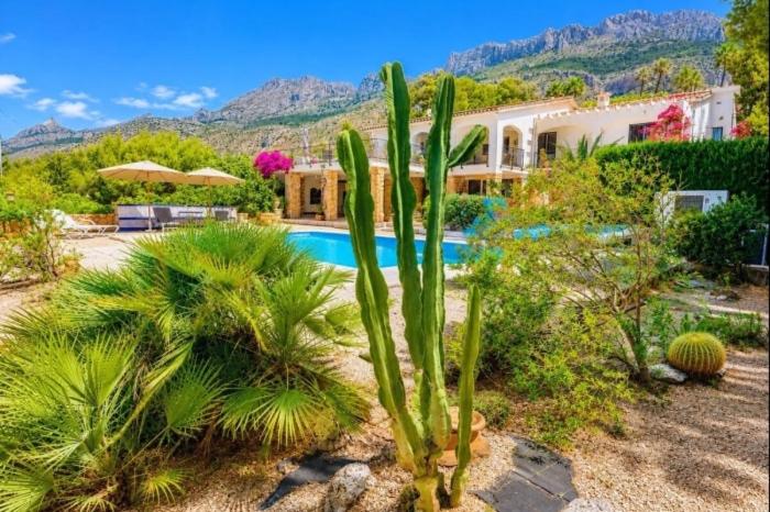 Exclusiva Villa Altea con Piscina Climatizada - Villa de 3 dormitorios - 18