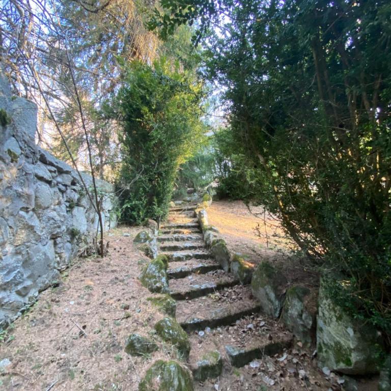 Castle Apartment in Ponte di Legno - Appartamento - 39