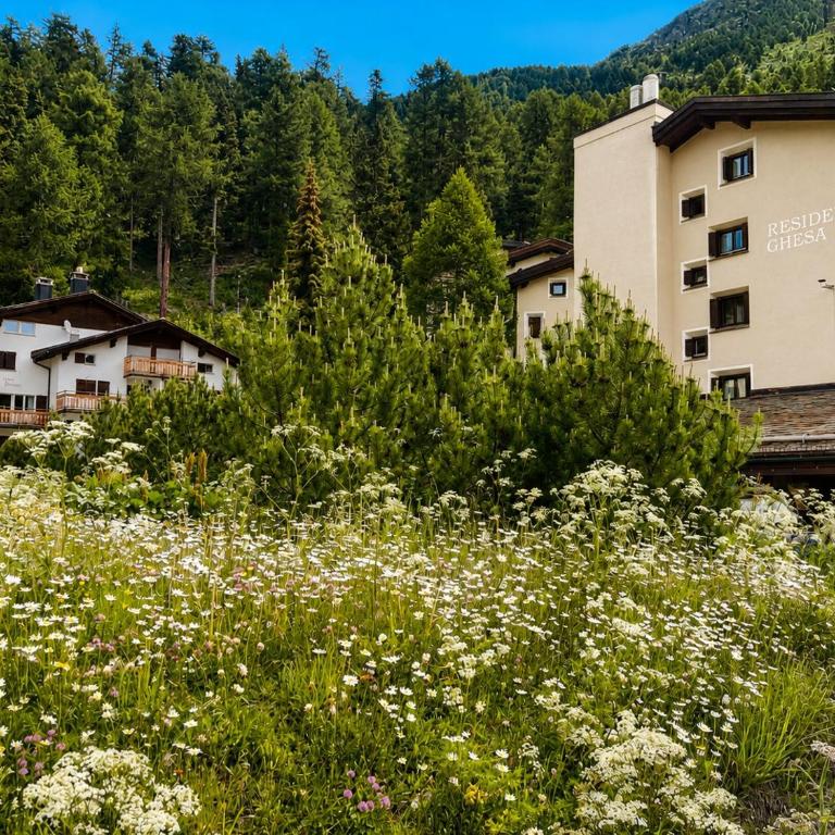 Bijou Alpina Surlej - Apartment mit 1 Schlafzimmer - 10