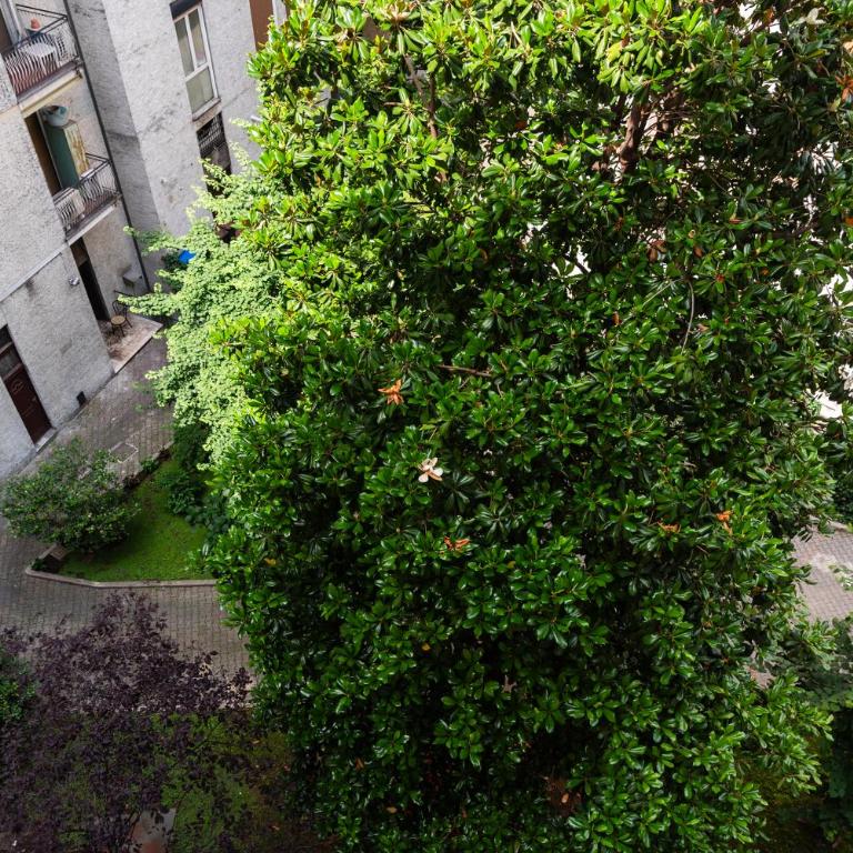 YouHosty - Brenta 3 - Appartement 1 Chambre - 19