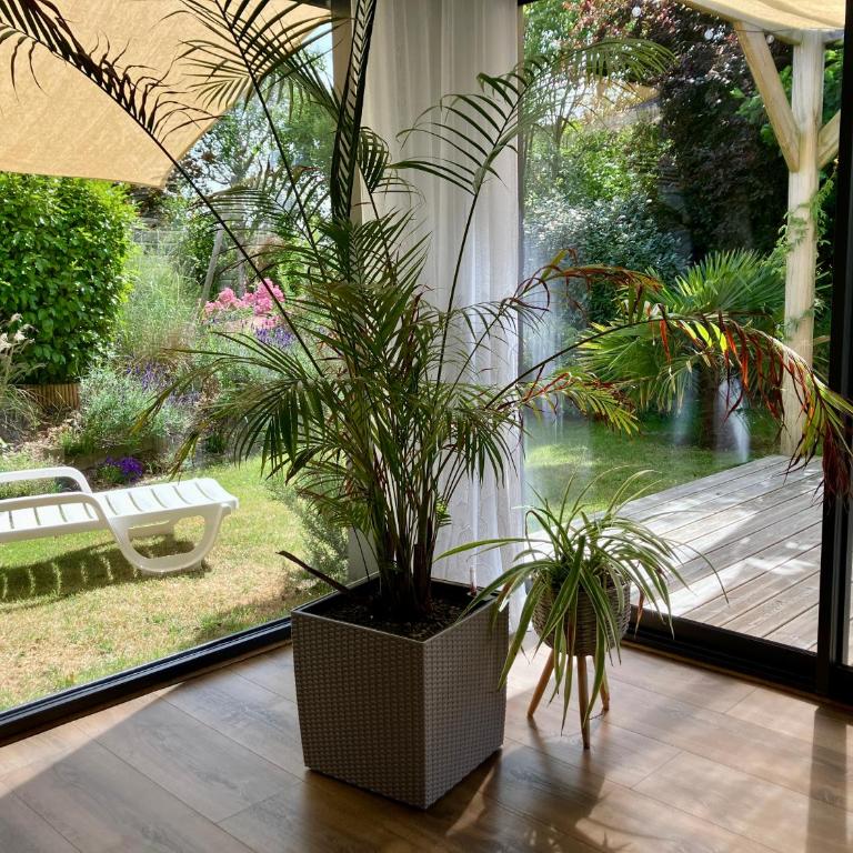 Pavillon d'Éole - One-Bedroom House - 5