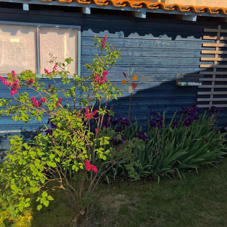 Un havre de paix en famille - Villa avec Piscine Privée - 25