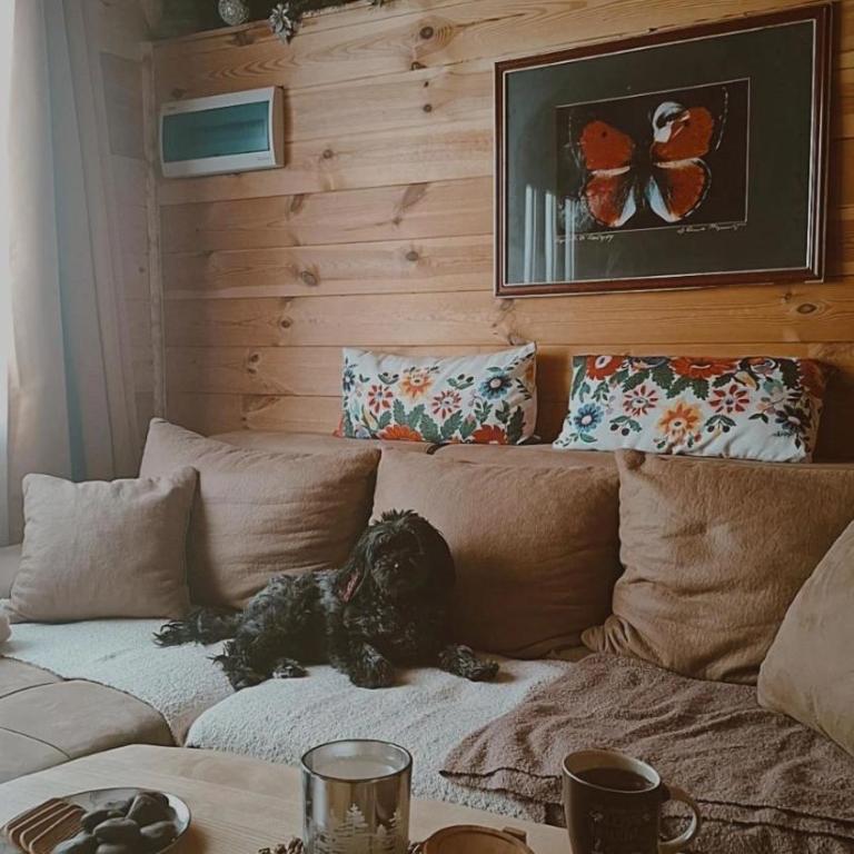 Koliba Luča Smrčevo Brdo - Chalet mit 1 Schlafzimmer - 43