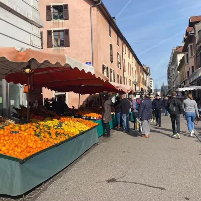 Le Jane : Centre ville, Garage, Balcon - Apartment mit 3 Schlafzimmern - 27