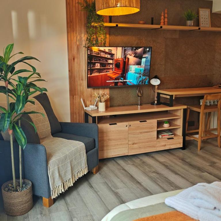 Studio Sur, Departamento nuevo en el centro de Bariloche - Studio - 53