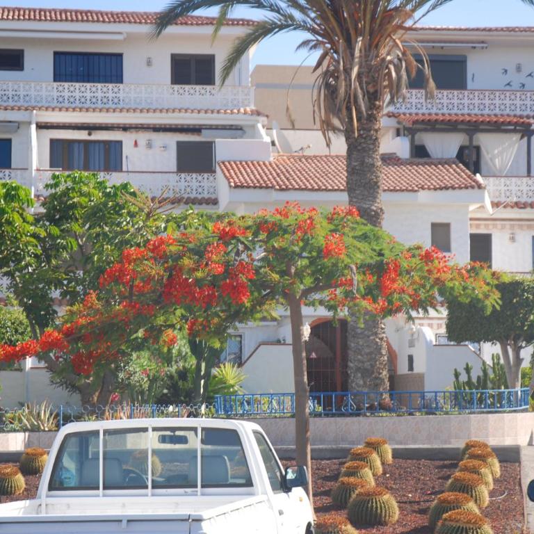Guayota - Apartamento de 2 dormitorios - 42