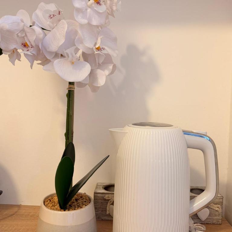 Apartment LEONIE - Podgorica - Appartement 1 Chambre - 6
