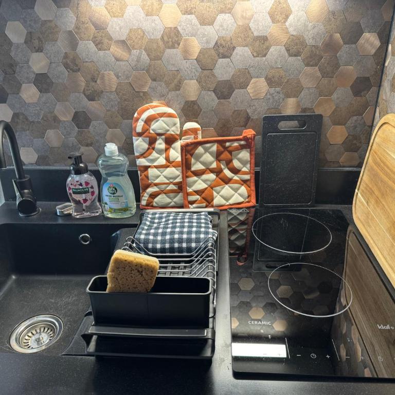 Petit Cocon des Rives Proche Stanislas-terrasse & parking gratuit - Apartment mit 1 Schlafzimmer - 12