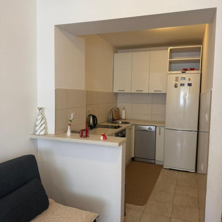 Apartman Bošković - One-Bedroom Apartment - 4