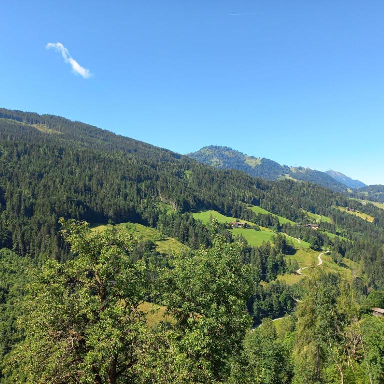 Landhof Kreuzsalgut - Apartment mit 1 Schlafzimmer und Gartenblick - 10