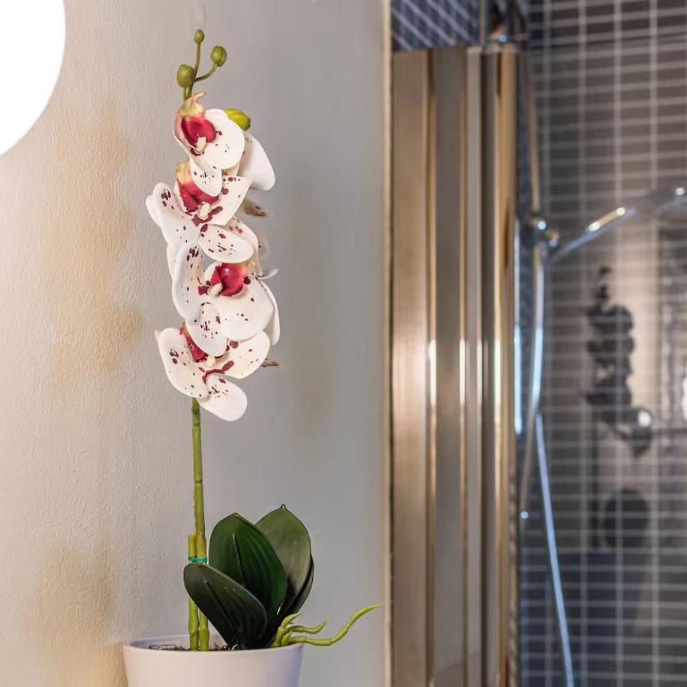 Romantic Florence - Appartement 1 Chambre - 46