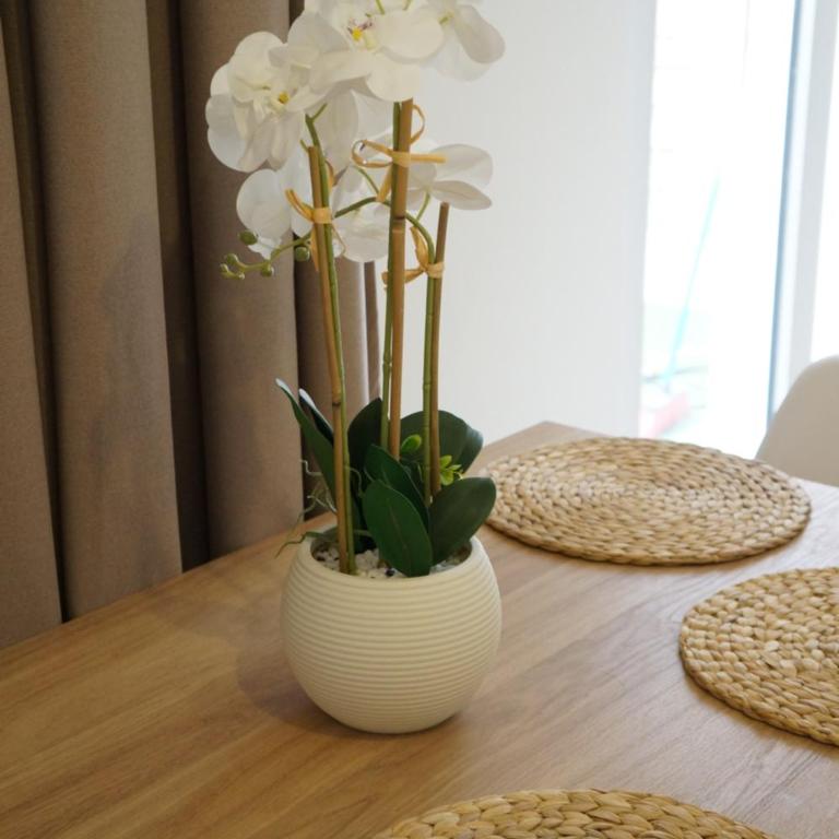 Appartement tout confort avec grande terrasse - Appartement 1 Chambre - 8