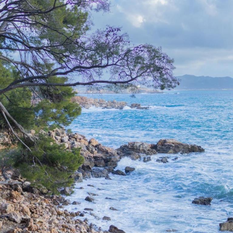 Studio Duplex Bandol Vue Mer Terrasse & Parking - Appartement - 26