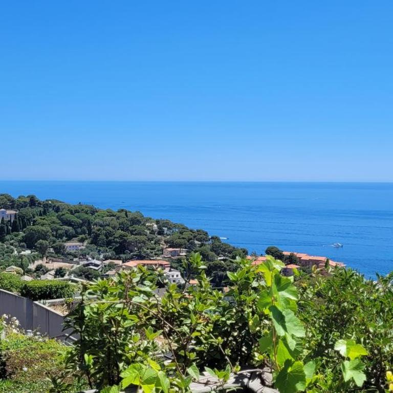Costa Plana apartment with terrace and sea view - Appartement 1 Chambre - 3