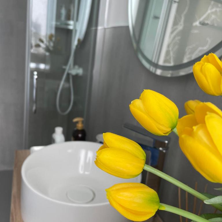 In Blu Santo Ospedale - Appartement 1 Chambre - 9