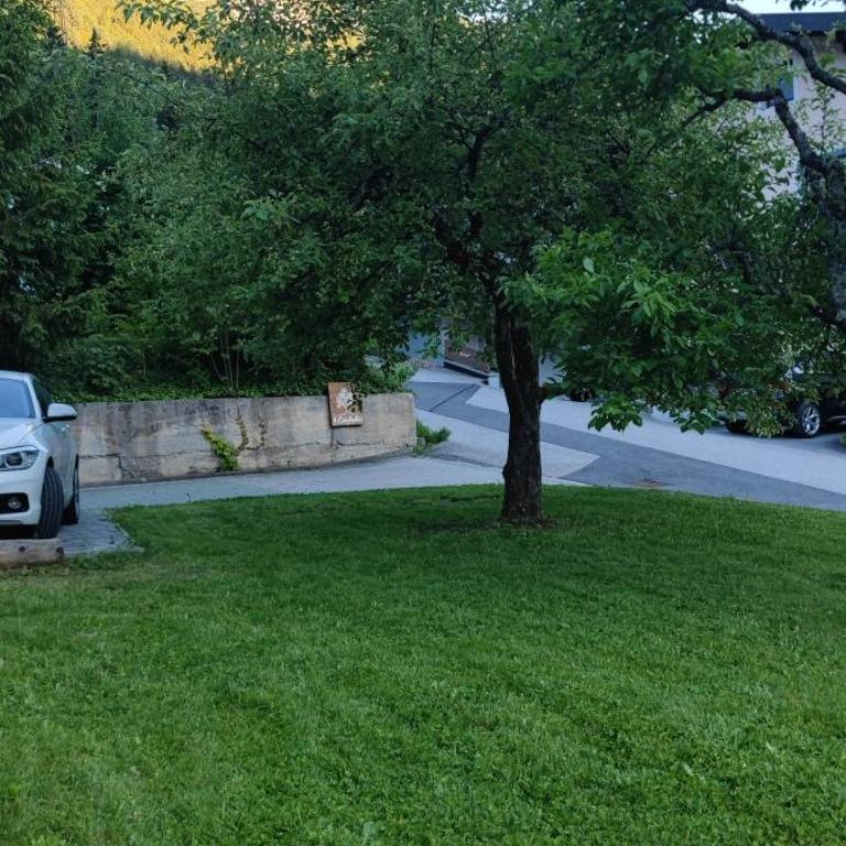Appartement Waldzauber - Apartment mit 1 Schlafzimmer - 27