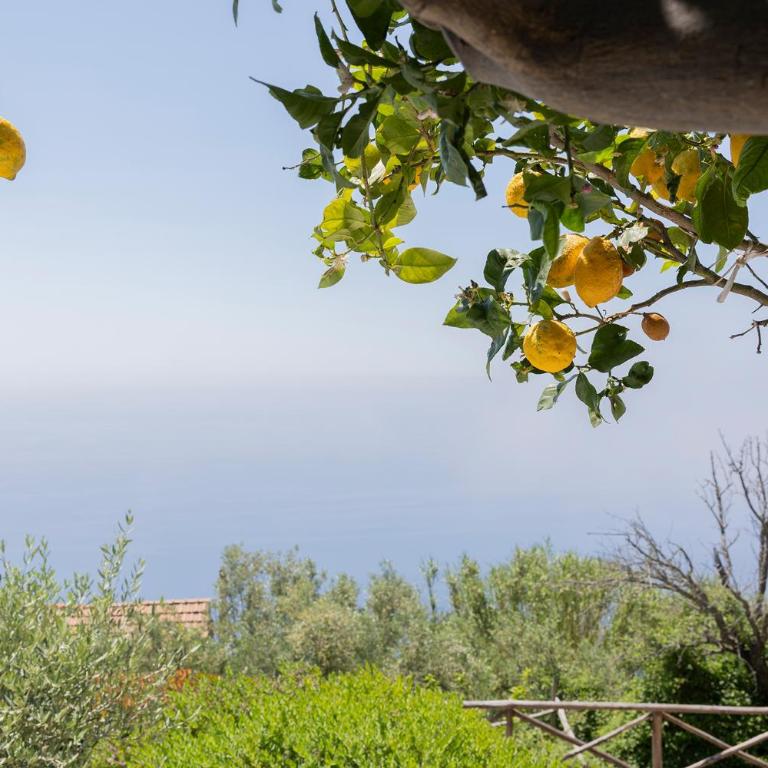 La casa del '600 Holiday House Amalfi Coast - Casa Vacanze - 48