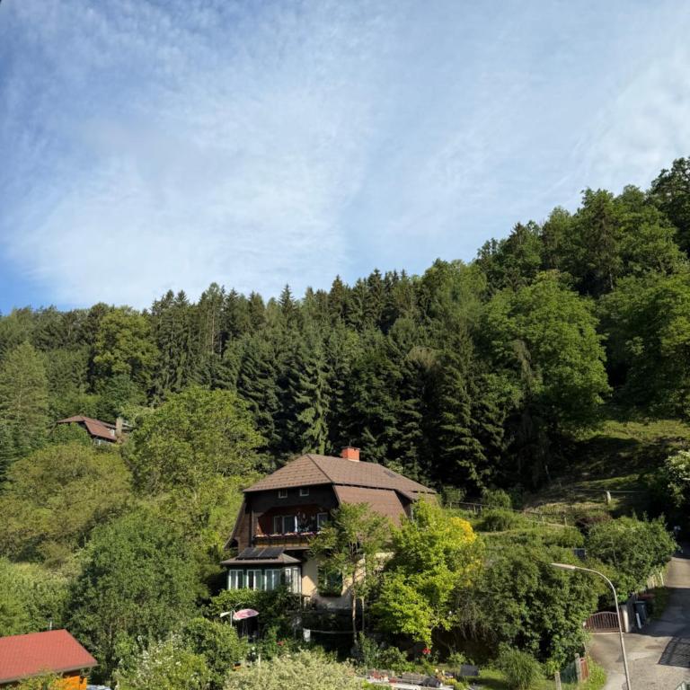 Talblick Apartment Leoben mit Gratis Parkplatz - Apartment mit 1 Schlafzimmer - 4