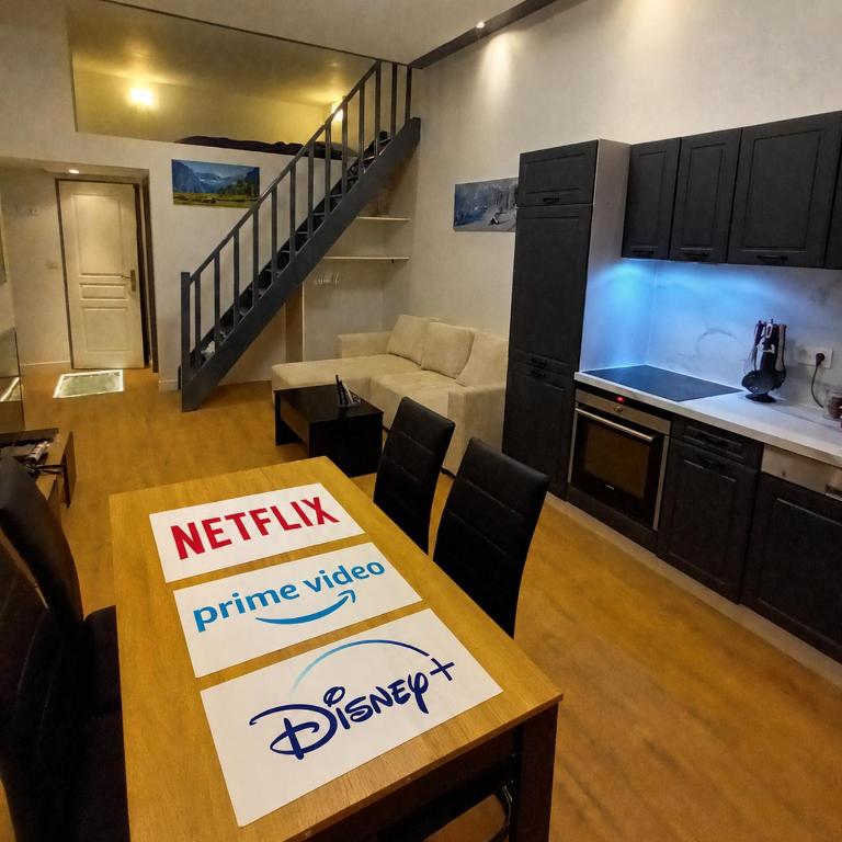 Grand studio avec mezzanine - Appartement 1 Chambre - 1
