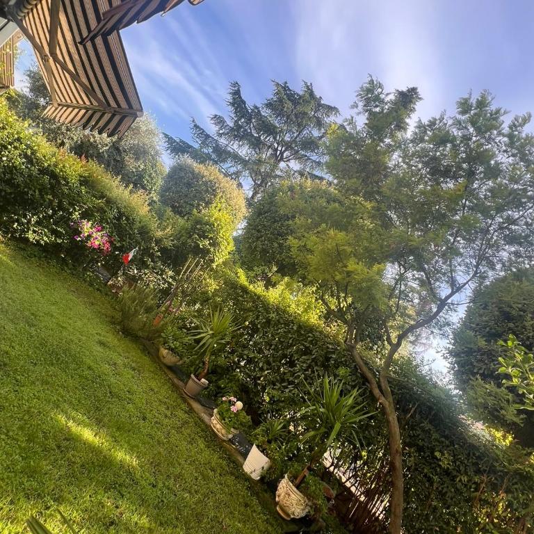 Casa Mimosa - Appartamento con 1 Camera da Letto - 13