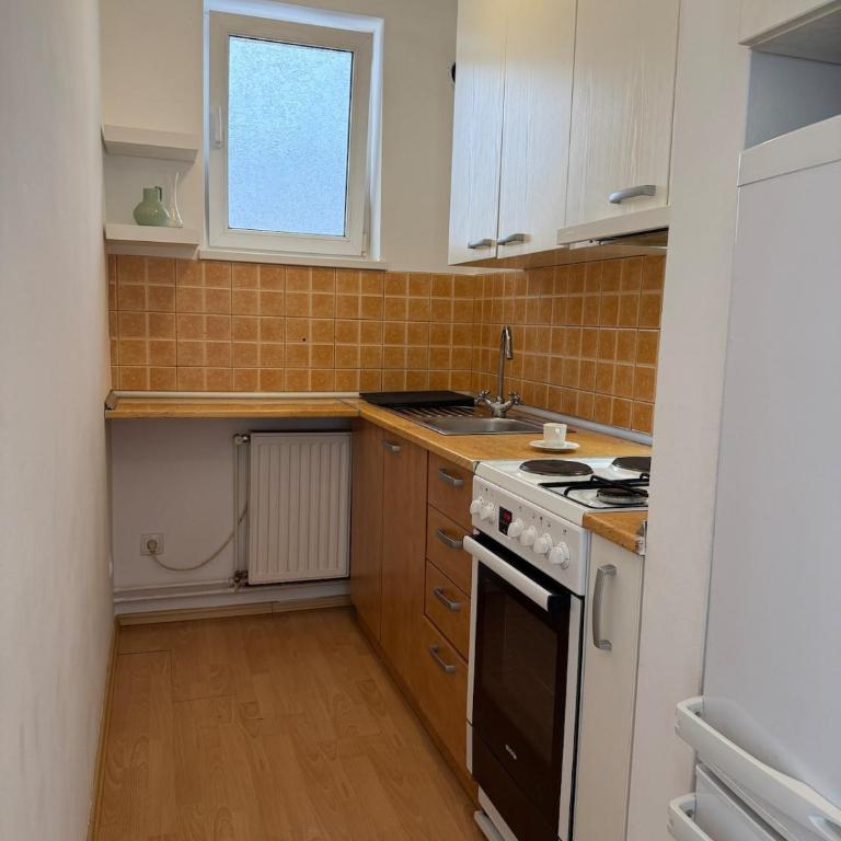 Zoya Sunny Apartment - Apartman sa 1 Spavaćom Sobom - 10