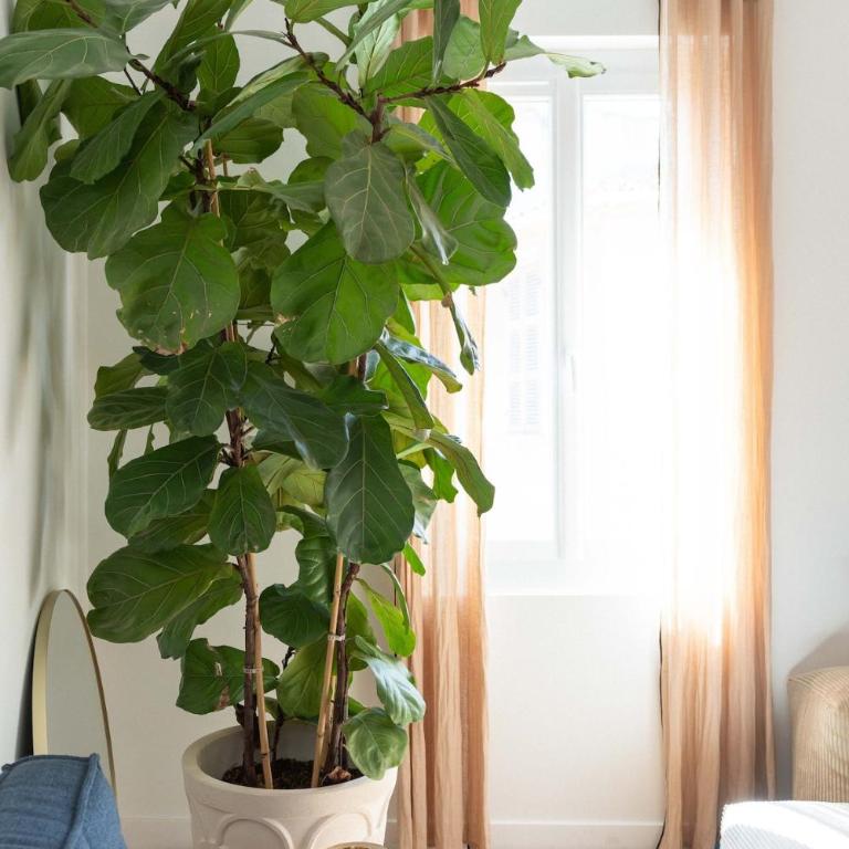 Beau 1 chambre - lumineux, calme & plein centre - One-Bedroom Apartment - 2